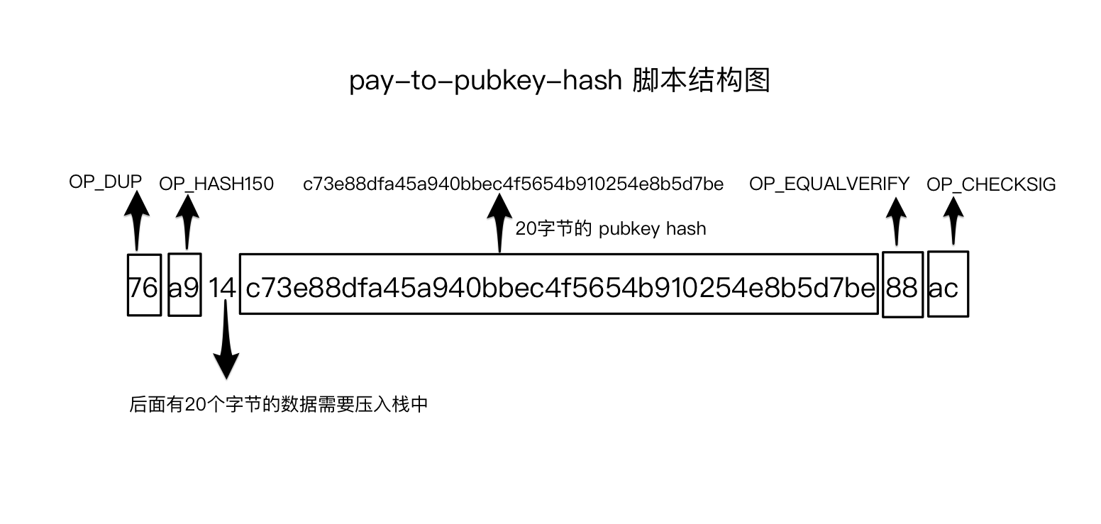 pay to pubkey hash script